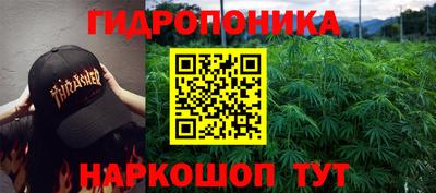 бошки Камышлов