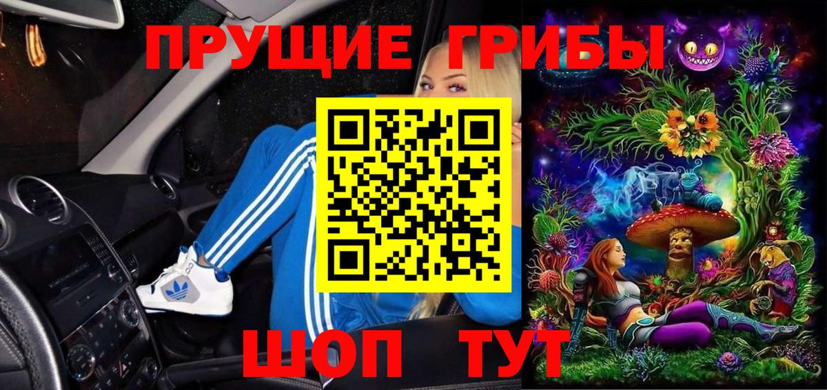 Галлюциногенные грибы GOLDEN TEACHER  Вход с VPN  Чистополь  Галлюциногенные грибы прущие грибы 